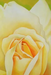 Die Rose, 1995
